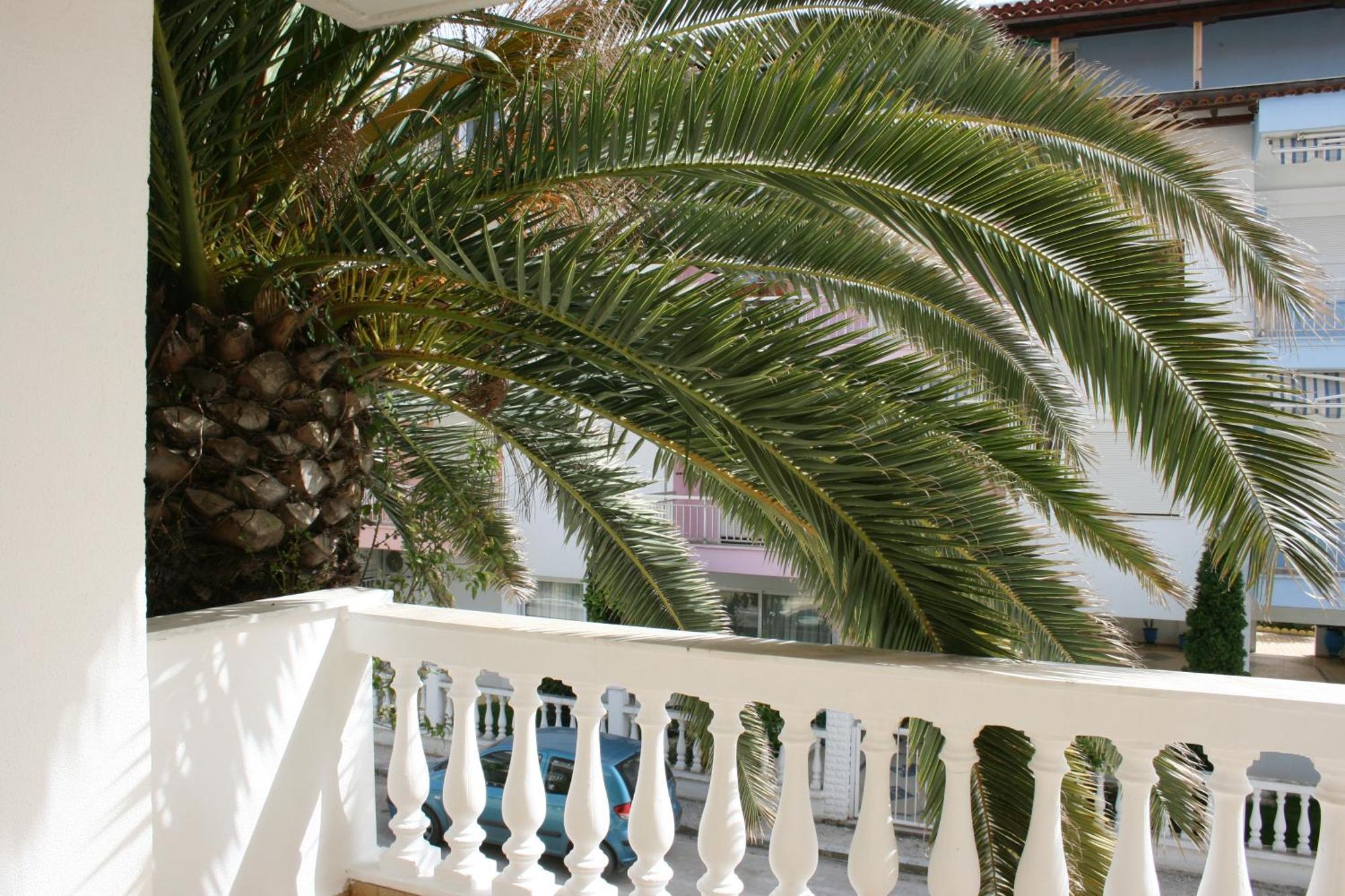 Dionisos Palms Apartments Paralia Dionysiou Exterior photo
