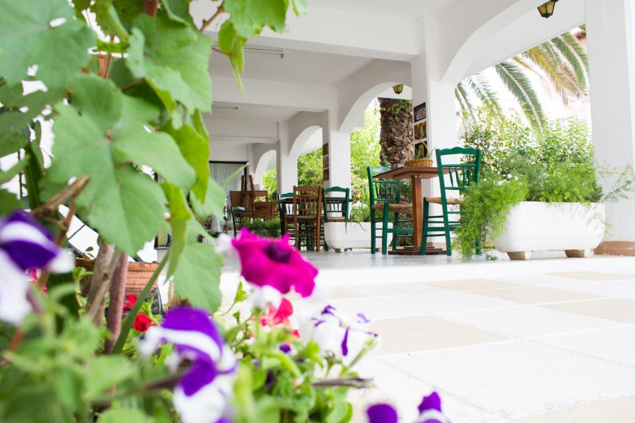 Dionisos Palms Apartments Paralia Dionysiou Exterior photo
